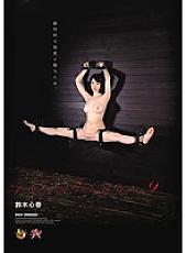 DASD-321 Iron Crimson 9 Kokoroharu Suzuki - Suzuki Koharu