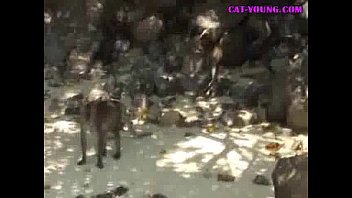 ⁣Fun-times-with-asian-teen